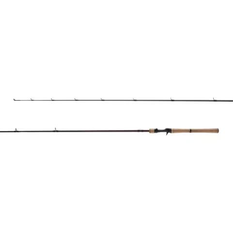 CLARUS CASTING